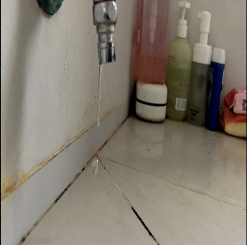 滴水检测数据集-数据中国